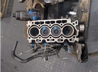  Блок цилиндров (Шорт блок) Ford Fiesta 2008-2013 20234601 #1