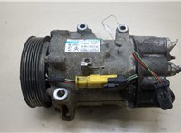  Компрессор кондиционера Citroen C4 Picasso 2006-2013 20234662 #1