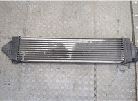  Радиатор интеркулера Ford S-Max 2010-2015 20235197 #3