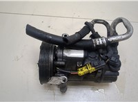  Компрессор кондиционера Peugeot 207 20239469 #1