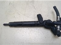  Форсунка топливная Mercedes Vito W639 2004-2013 20239498 #1