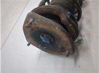 31316782208 Амортизатор подвески Mini Cooper (R56/R57) 2006-2013 20241727 #6