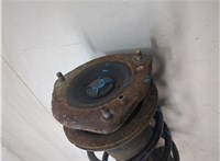 31316782207 Амортизатор подвески Mini Cooper (R56/R57) 2006-2013 20242082 #6