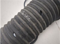 4F0616039AA Амортизатор подвески Audi A6 (C6) Allroad 2006-2011 20242095 #4