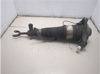 4F0616039AA Амортизатор подвески Audi A6 (C6) Allroad 2006-2011 20242095 #12