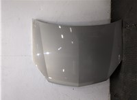 1160255, 13205828, 93183981 Капот Opel Signum 20243877 #8