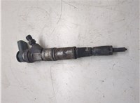13537789661 Форсунка топливная BMW X5 E53 2000-2007 20244768 #1