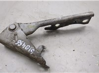  Петля капота Hyundai H-1 Starex 1997-2005 20244834 #1