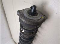 8D5513031L, 8D0511115N Амортизатор подвески Audi A4 (B5) 1994-2000 20244942 #5