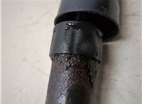 3B9513031G Амортизатор подвески Volkswagen Passat 5 1996-2001 20245349 #4