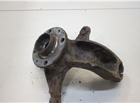  Ступица (кулак, цапфа) Renault Scenic 2003-2009 20245738 #1