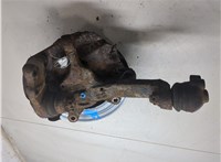 Ступица (кулак, цапфа) Hyundai H-1 Starex 1997-2005 20245880 #4
