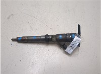 504389548 Форсунка топливная Iveco Daily 5 2011-2014 20246176 #1