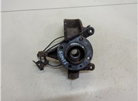  Ступица (кулак, цапфа) Renault Scenic 2003-2009 20246198 #1