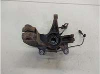  Ступица (кулак, цапфа) Renault Scenic 2003-2009 20246198 #2