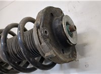 Амортизатор подвески Volkswagen Passat 6 2005-2010 20247572 #2