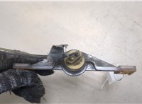 5303021 Подсветка номера Chrysler PT Cruiser 20247824 #4