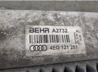  Радиатор охлаждения двигателя Audi A8 (D3) 2002-2005 20248264 #5