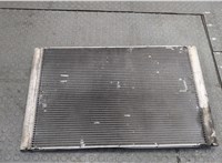  Радиатор охлаждения двигателя Audi A8 (D3) 2002-2005 20248264 #6