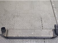  Радиатор интеркулера Renault Laguna 3 2007- 20248300 #1