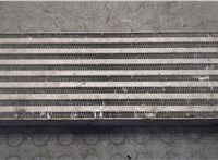  Радиатор интеркулера Renault Laguna 3 2007- 20248300 #2
