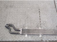  Радиатор масляный Audi A8 (D3) 2002-2005 20248493 #1
