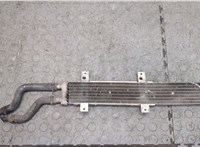  Радиатор масляный Audi A8 (D3) 2002-2005 20248493 #5