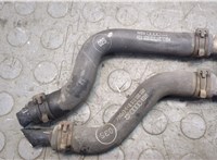  Радиатор масляный Audi A8 (D3) 2002-2005 20248493 #7