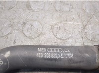  Радиатор масляный Audi A8 (D3) 2002-2005 20248493 #8