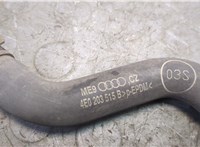  Радиатор масляный Audi A8 (D3) 2002-2005 20248493 #9