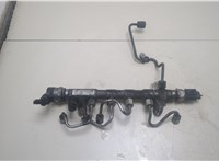 Рампа (рейка) топливная Skoda Yeti 2009-2014 20248751 #1