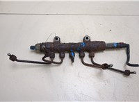  Рампа (рейка) топливная Ford Transit 2006-2014 20248804 #1