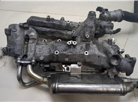A6420907037, A6420907737, A6421402375 Коллектор впускной Mercedes E W212 2009-2013 20249007 #3