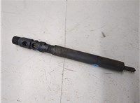 A6460700987 Форсунка топливная Mercedes E W211 2002-2009 20249408 #8