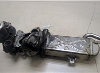 11725504 Клапан рециркуляции газов (EGR) Audi A3 (8P) 2008-2013 20249413 #1