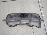  Решетка радиатора Ford Focus 2 2008-2011 20249420 #2