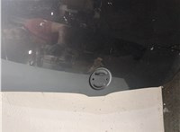 41617111385 Капот BMW 5 E60 2003-2009 20249627 #15