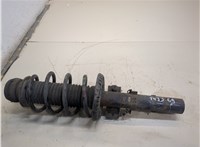  Амортизатор подвески Skoda Fabia 2010-2014 20249693 #1