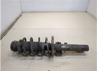  Амортизатор подвески Skoda Roomster 2010-2015 20249836 #1