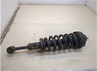  Амортизатор подвески Ford Explorer 2001-2005 20249860 #1