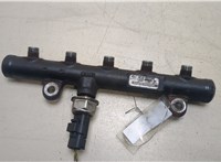  Рампа (рейка) топливная Volvo C30 2006-2010 20250139 #1