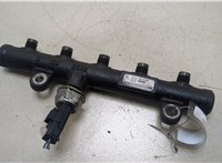 31216186 Рампа (рейка) топливная Volvo V70 2007-2013 20250155 #1
