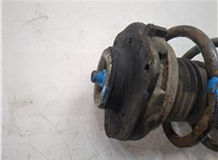3C0413031M, 3C0411105M Амортизатор подвески Volkswagen Passat 6 2005-2010 20250170 #3
