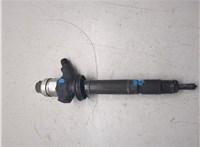 1495919 Форсунка топливная Ford Transit 2006-2014 20250293 #1