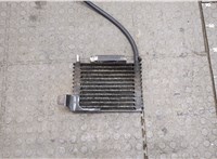  Радиатор масляный Ford Ranger 1998-2006 20251305 #1