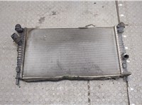 Радиатор охлаждения двигателя Ford Focus 2 2005-2008 20251387 #1