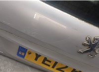  Петля крышки багажника Peugeot 207 11329807 #2