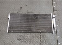  Радиатор кондиционера Nissan Quest 2003-2009 20251651 #1