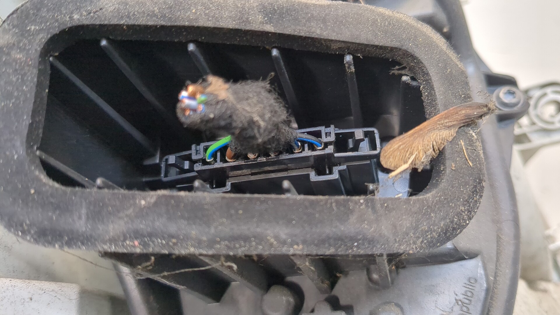 Фонарь задний правый