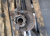 5010241876 Ступица (кулак, цапфа) Renault Midlum 1 1999-2006 20251892 #4